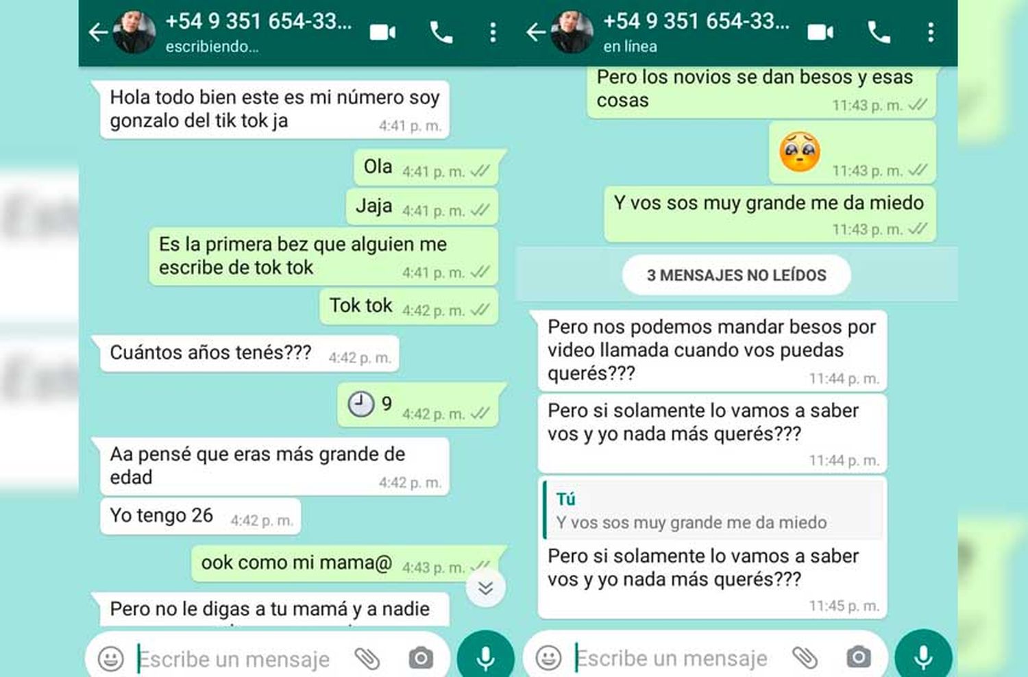 Acoso por Tik Tok: "Este hombre sigue utilizando los perfiles que usaba y se creó nuevos"