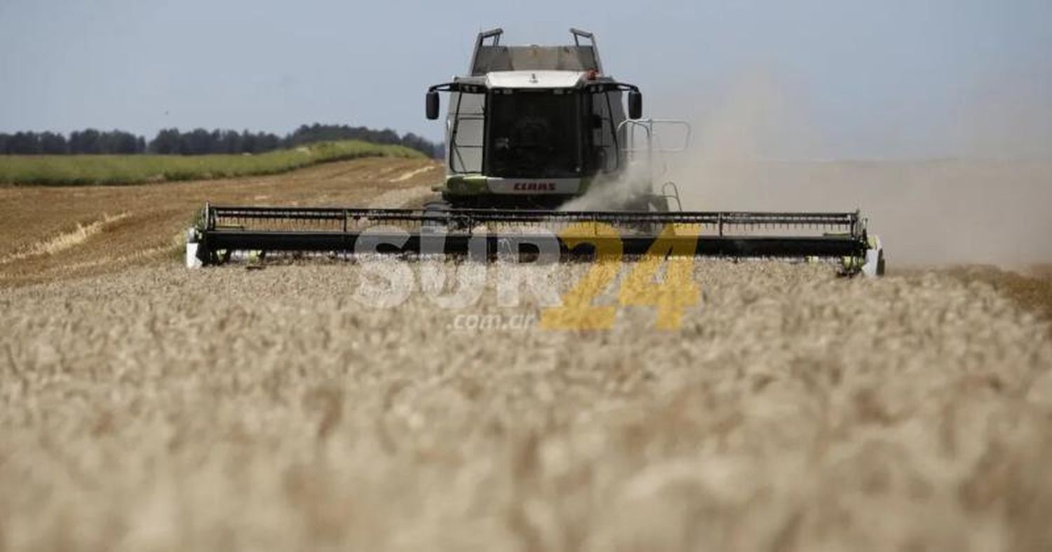 Récord histórico de divisas del agro, ¿y entonces?