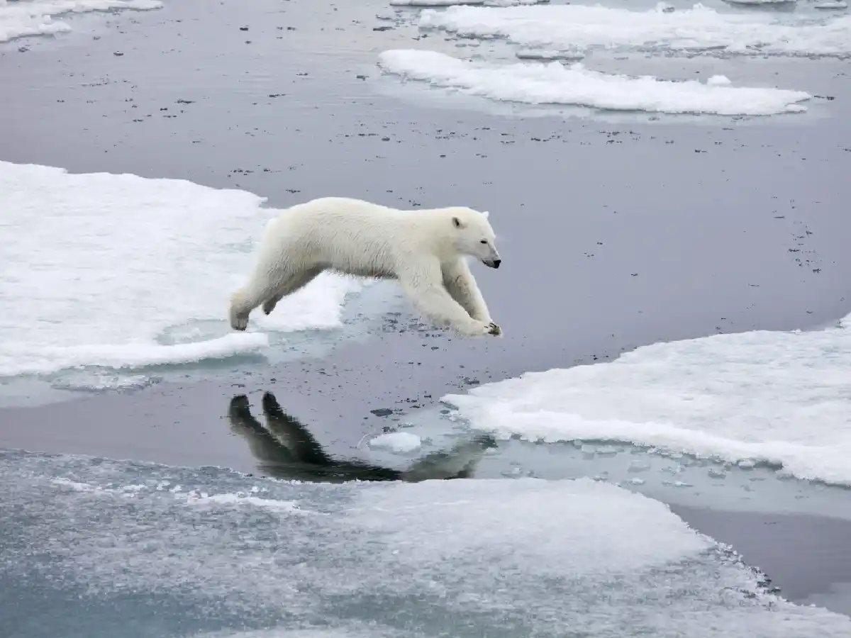 Asesores de la ONU advierten que "el cambio climático alterará la vida en la Tierra en 30 años"