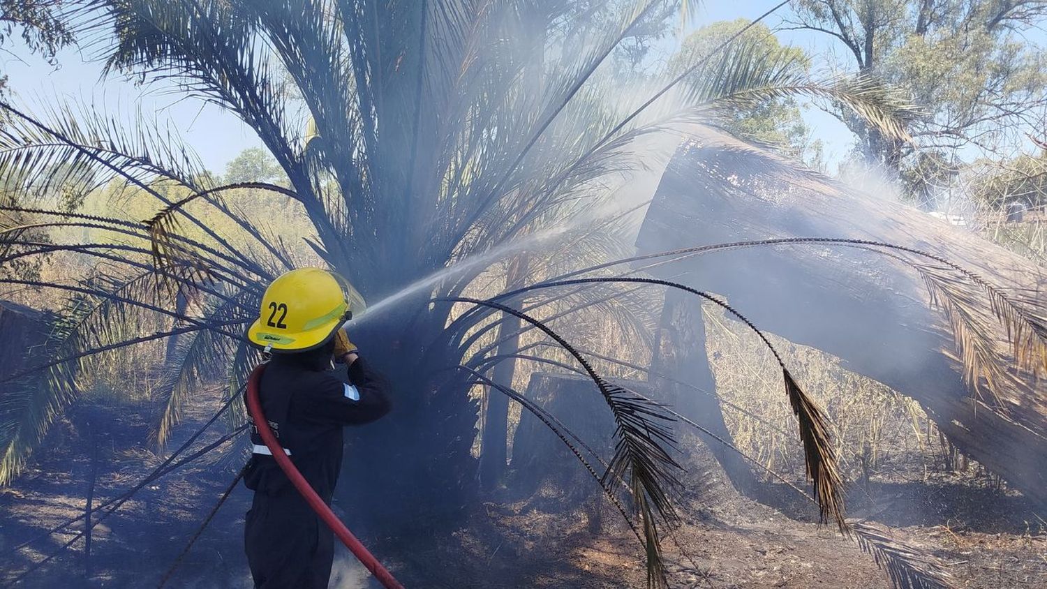 Bomberos lograron sofocar las llamas tras un arduo trabajo.