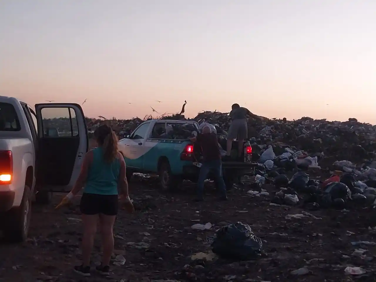 9 de julio basura