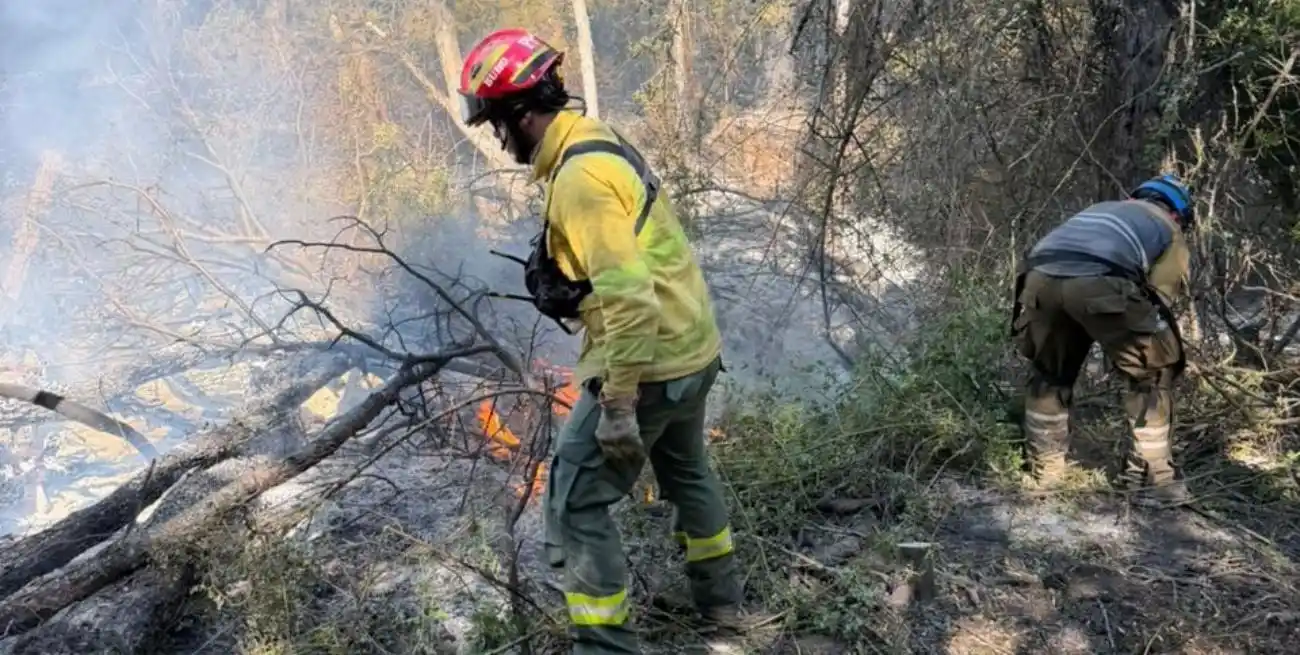 Se reactivaron focos de incendios en Chubut por altas temperaturas y fuertes vientos