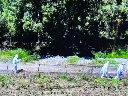 Se revelaron los resultados preliminares de la autopsia sobre la joven que fue encontrada muerta en Entre Ríos