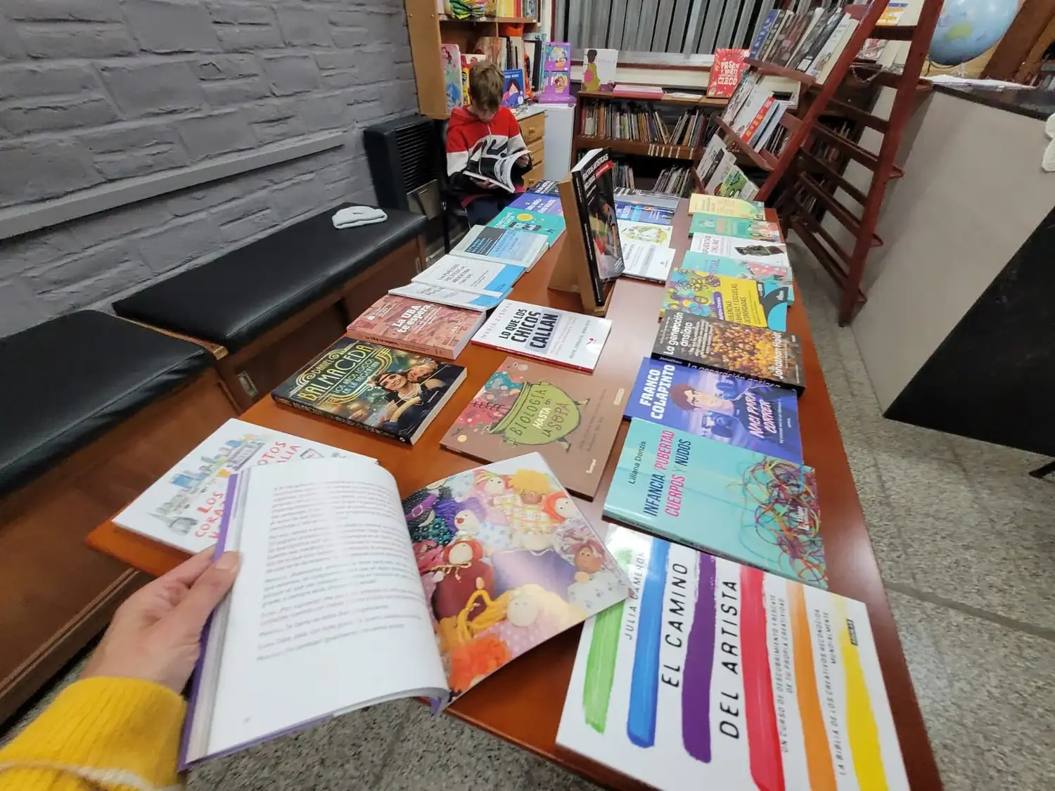 biblioteca rufino2