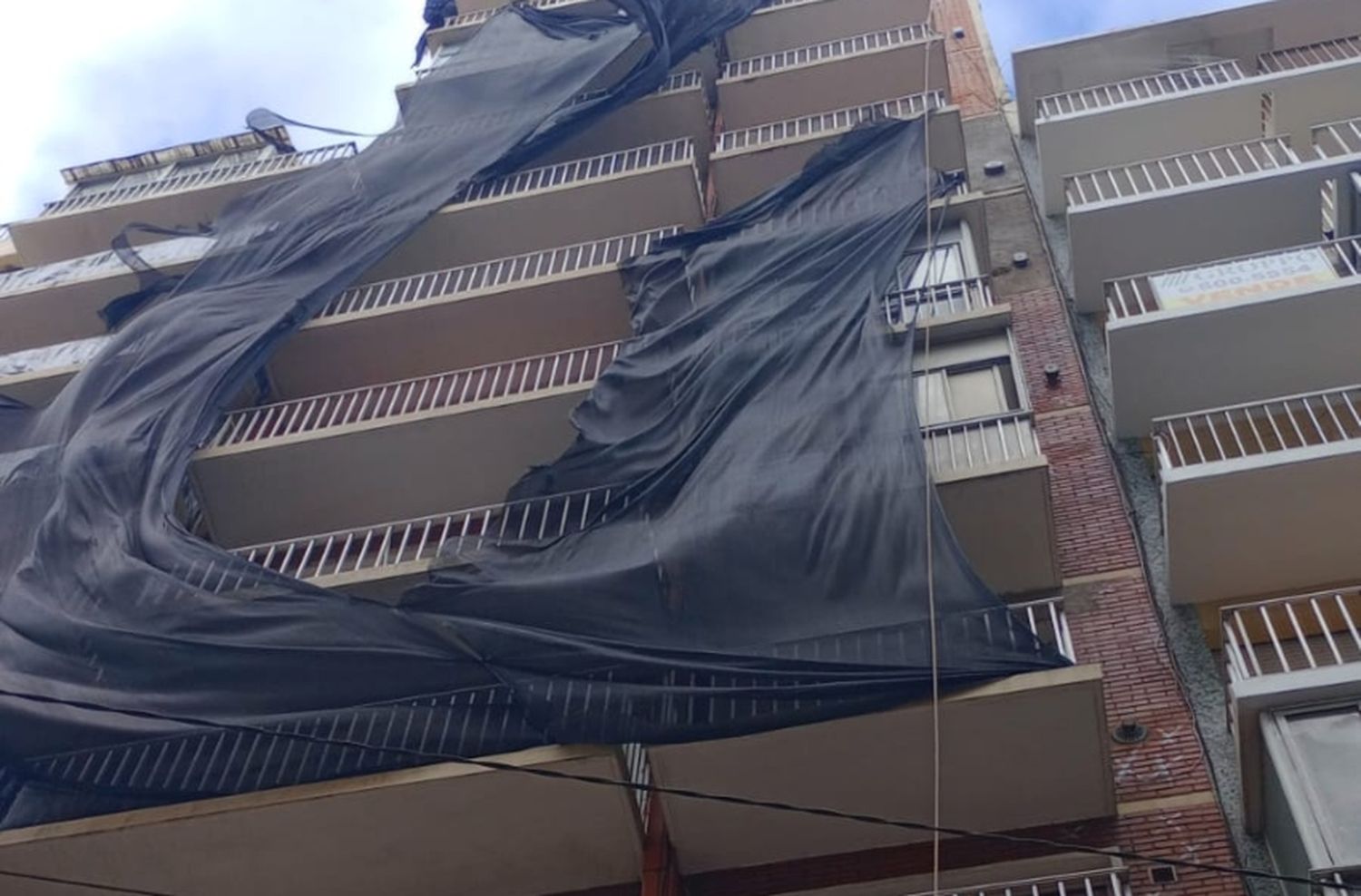 Temporal de viento y lluvia: arboles caídos y semáforos sin funcionar en Mar del Plata