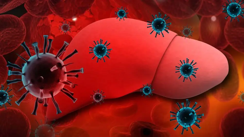 Mar del Plata participa de la campaña nacional de concientización  y detección gratuita de Hepatitis C