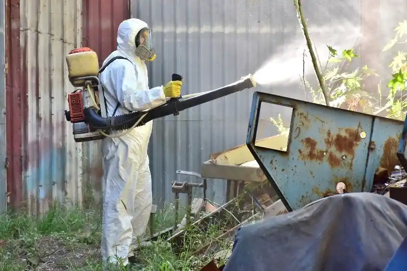 Realizarán fumigaciones en diferentes zonas de la ciudad