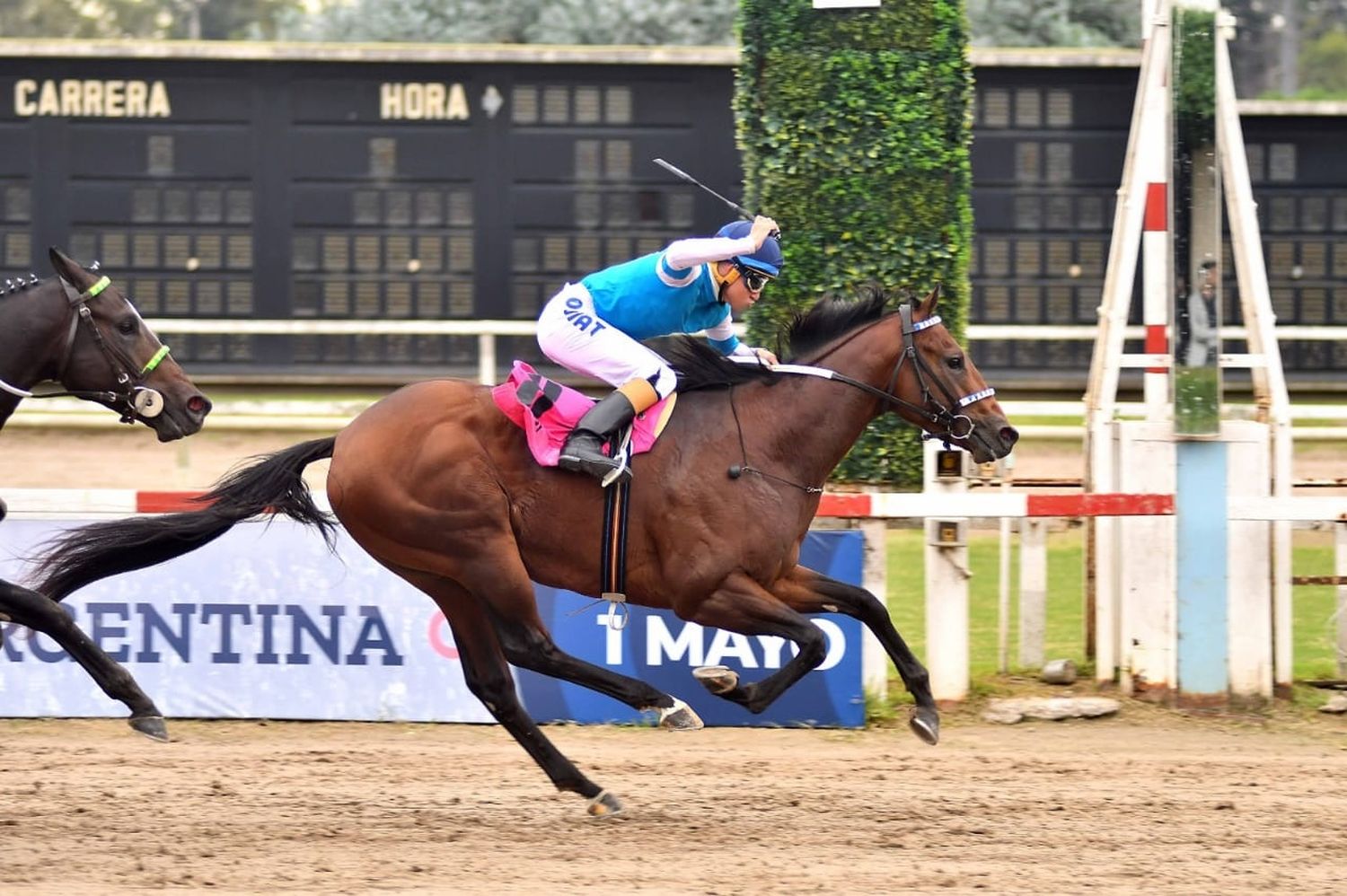 Arranca la Triple Corona del turf argentino