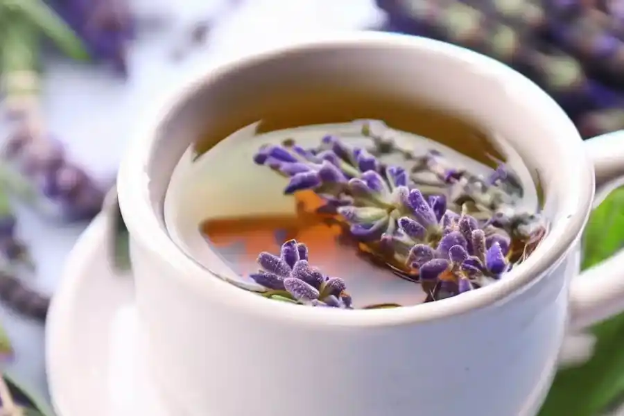 La infusión que necesitas después de la cena para reducir la ansiedad y mejorar el sueño