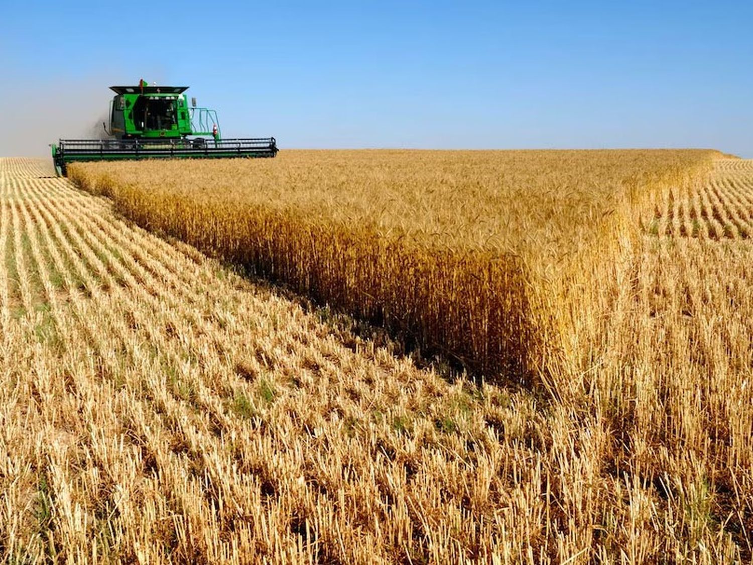 La cosecha de trigo, en su etapa final destacó la Bolsa de Cereales