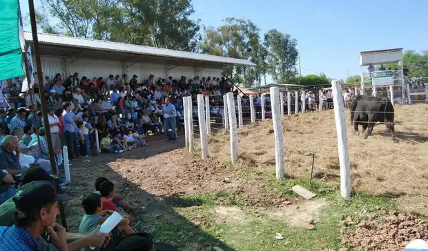 El Senado de Entre Ríos sesionará por la expropiación de la Rural