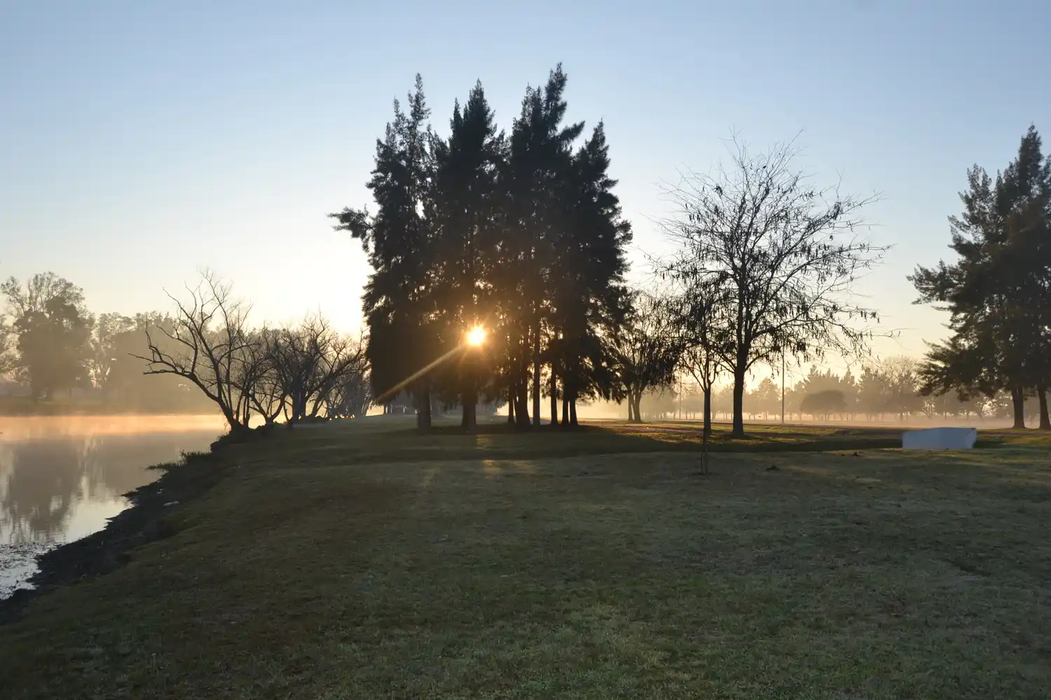 Coronavirus: 20 nuevos positivos en Gualeguay