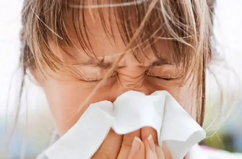 Alergias por ácaros, hongos y pólenes, las más comunes en nuestra zona