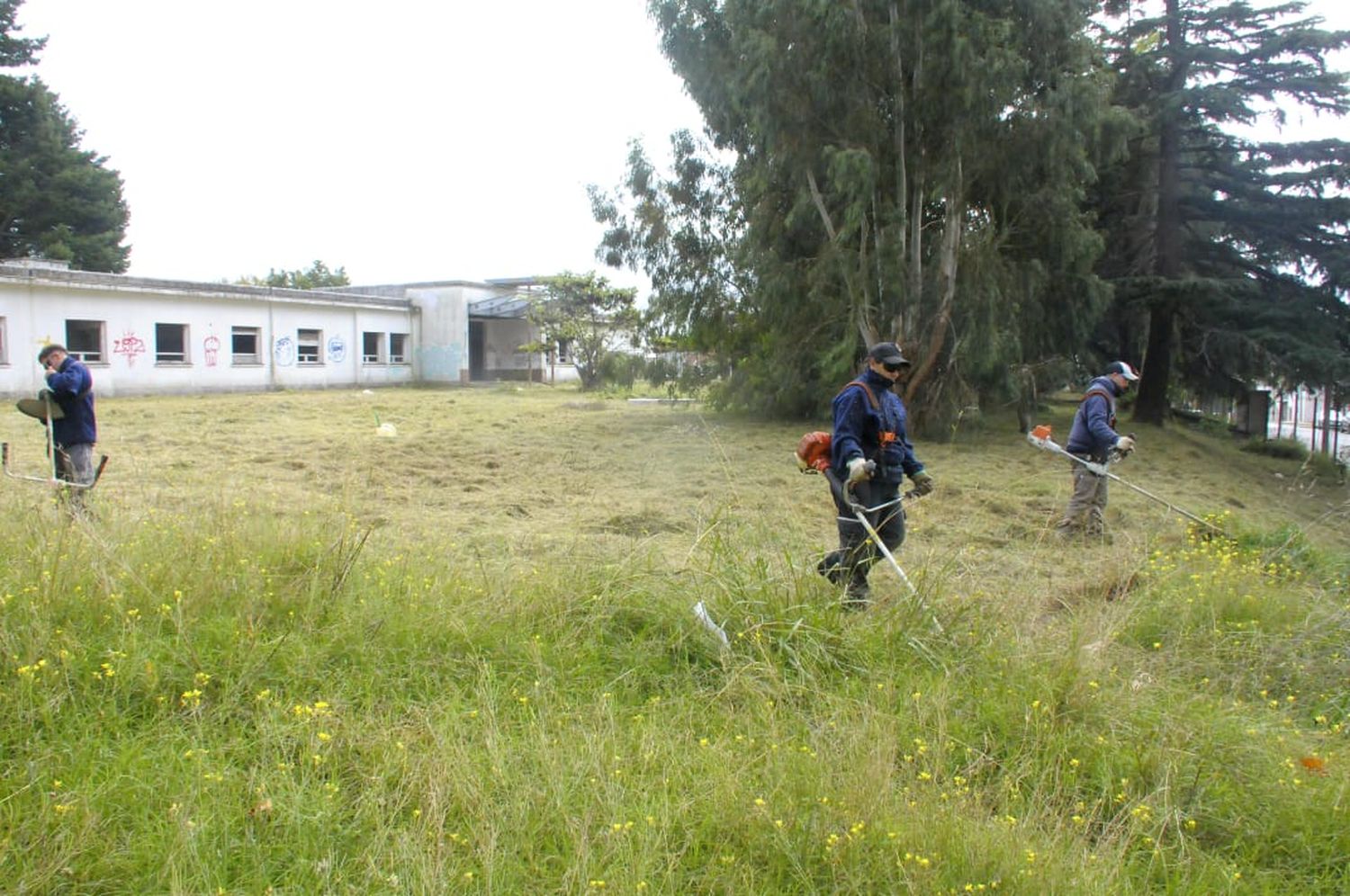 FOTO POLICLINICO FERROVIARIO CORTE DE PASTOS (3)



Tras las quejas vecinales, el Municipio logró autorización del privado para cortar los pastizales en la manzana del exPoliclínico Ferroviario.