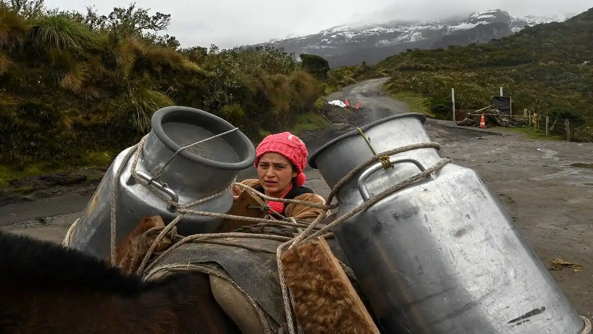 Evacuar o salvar sus animales, el dilema de campesinos junto a un volcán en Colombia