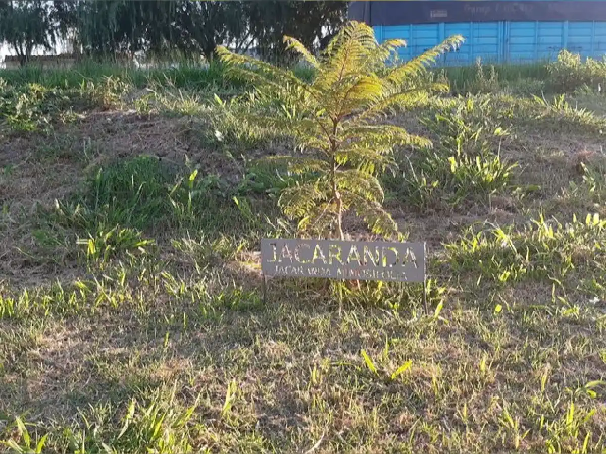 El parque del ferrocarril sigue creciendo