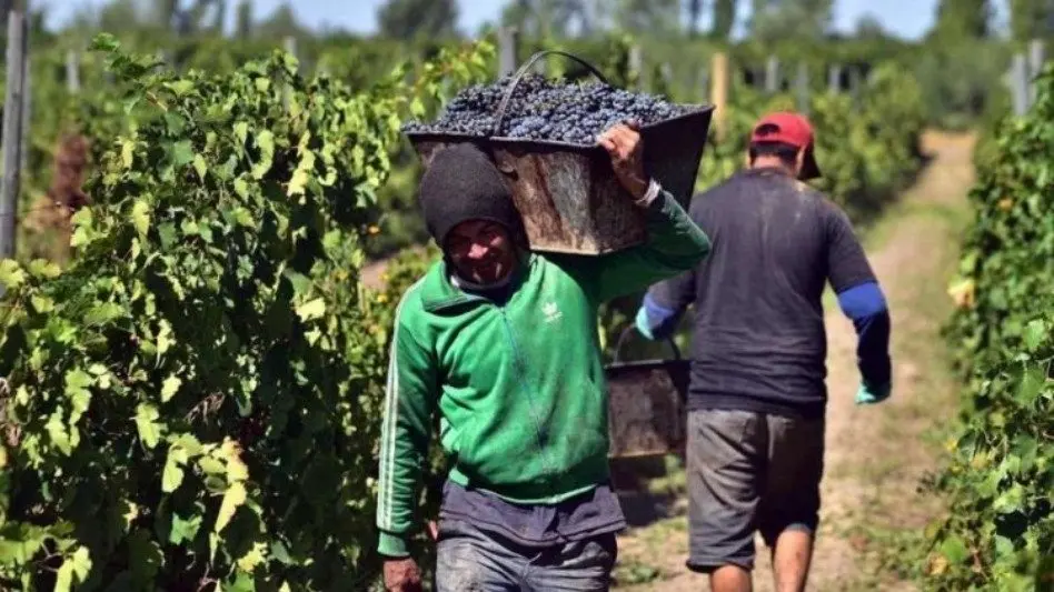 Día del Trabajador Vitivinícola:"El vino realizado en Chapadmalal se consume en un 40 % y el 60% se exporta al exterior"