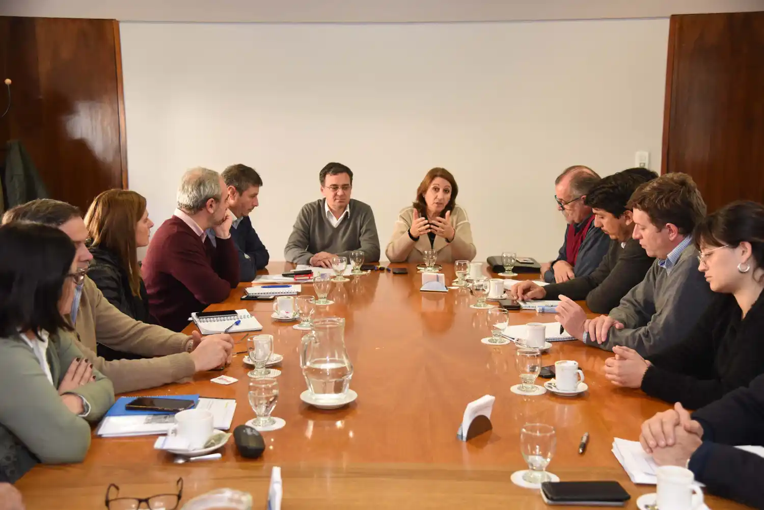 Fein anunció medidas para reducir el gasto público