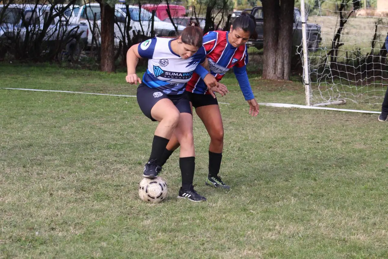 Torneo - 4