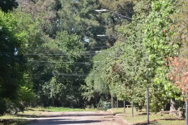Colocan nuevas luminarias con tecnología led en el barrio Las Violetas