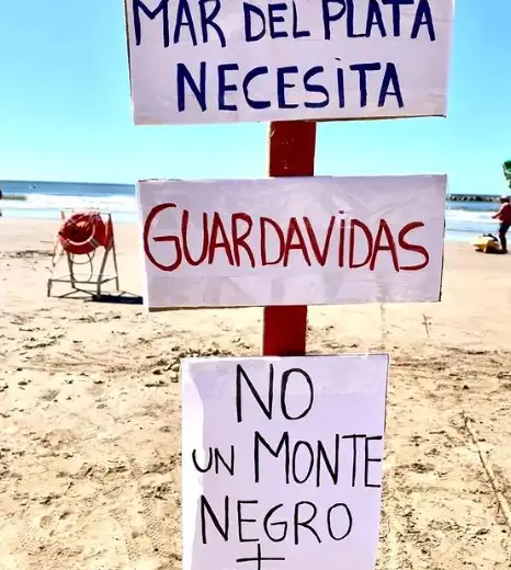 guardavidas mar del plata