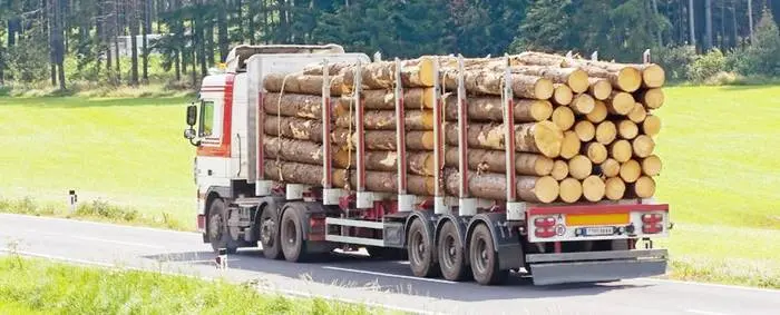 Rotman pide que ponga en vigencia una ley sobre transporte de productos forestales