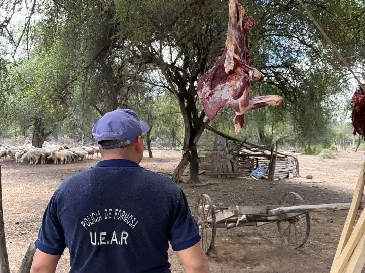 El Cañón: efectivos esclarecen el robo de una ternera y secuestran armas