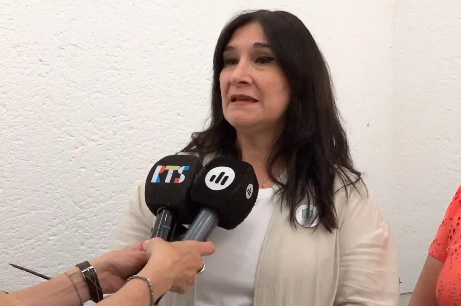 Analía Castro Elena María Elisa Barbero Inauguración y puesta en valor del museo, biblioteca y archivo regional histórico de San Vicente "Edna Peiretti de Welschen" - 5