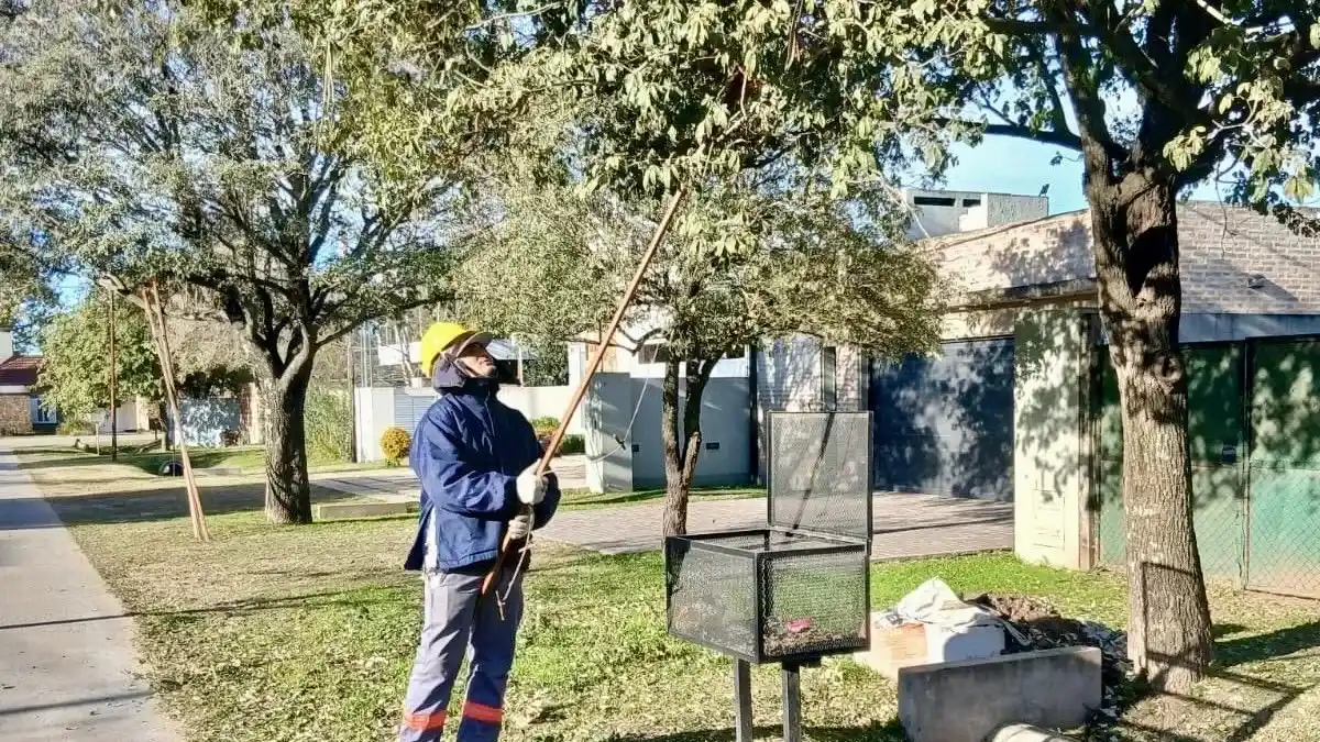 Continúan las tareas de poda del arbolado público en barrio Villa Rosas