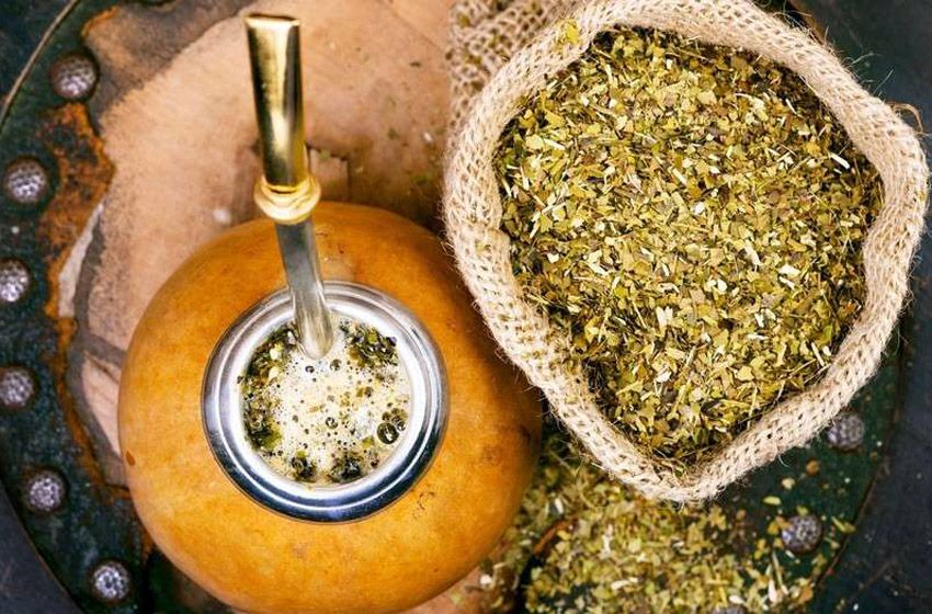 Los beneficios de la yerba mate en la salud
