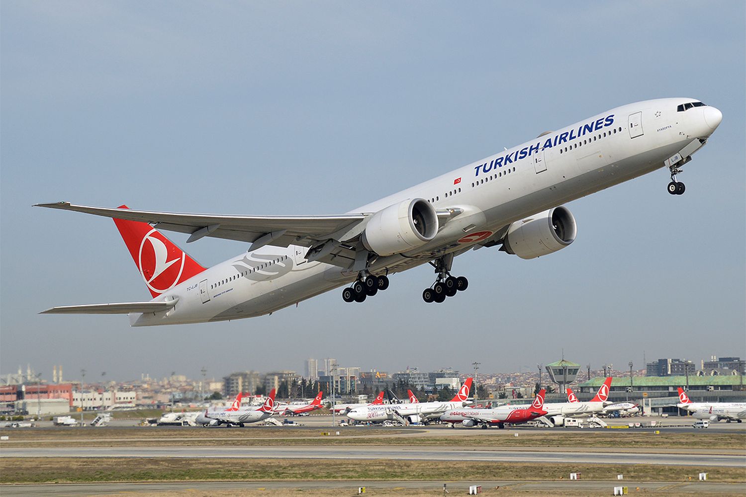Turkish Airlines programó nuevos vuelos cargueros a Buenos Aires