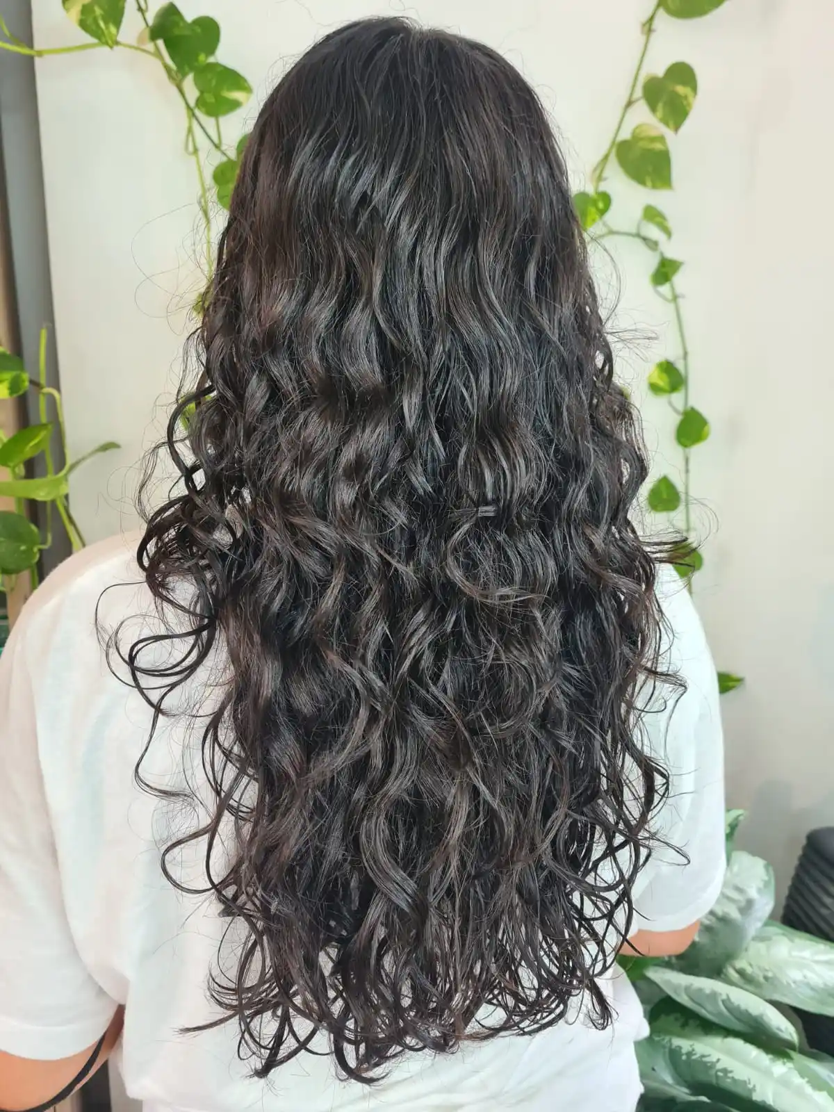 Rulos, la nueva tendencia