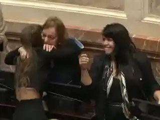 El Senado rechazó el proyecto Ficha Limpia