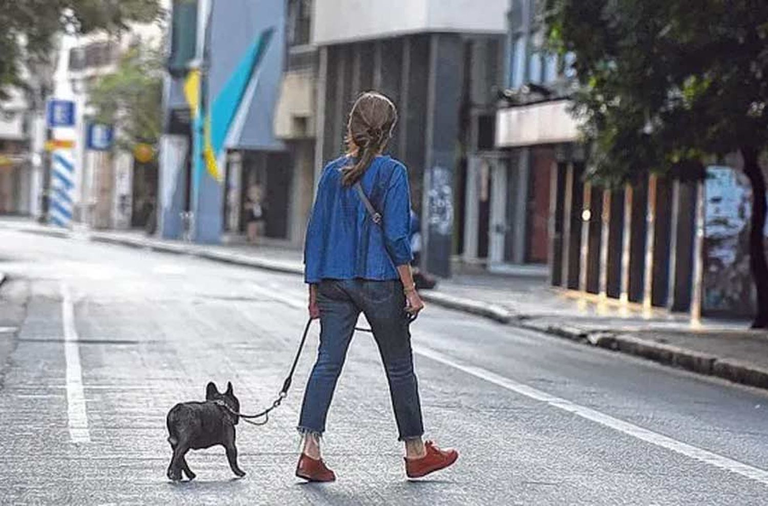 Sugerencia de fin de año: cómo debemos cuidar a las mascotas para las fiestas