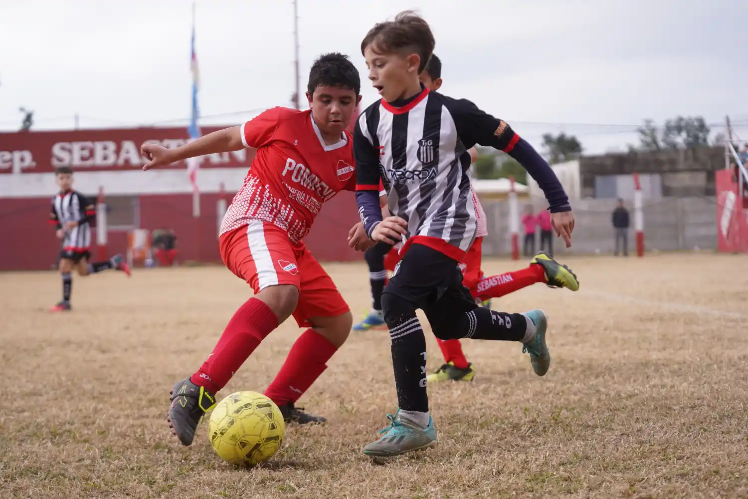 Los chicos vuelven a jugar
