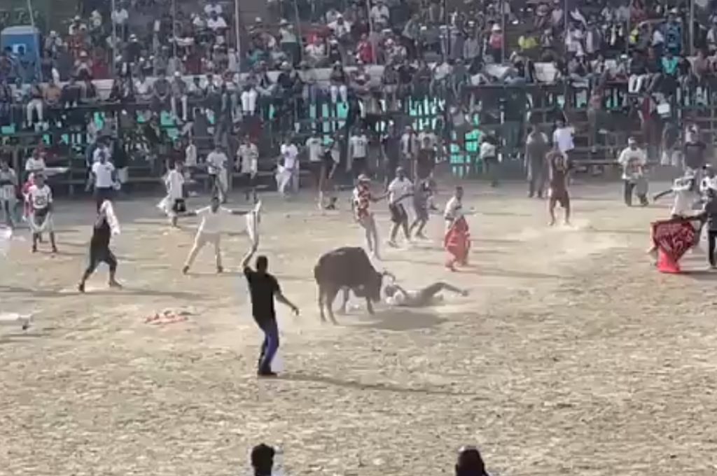 Corridas de toro