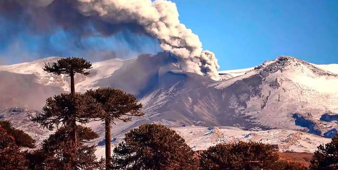 Imagen ilustrativa. Crédito: Conicet