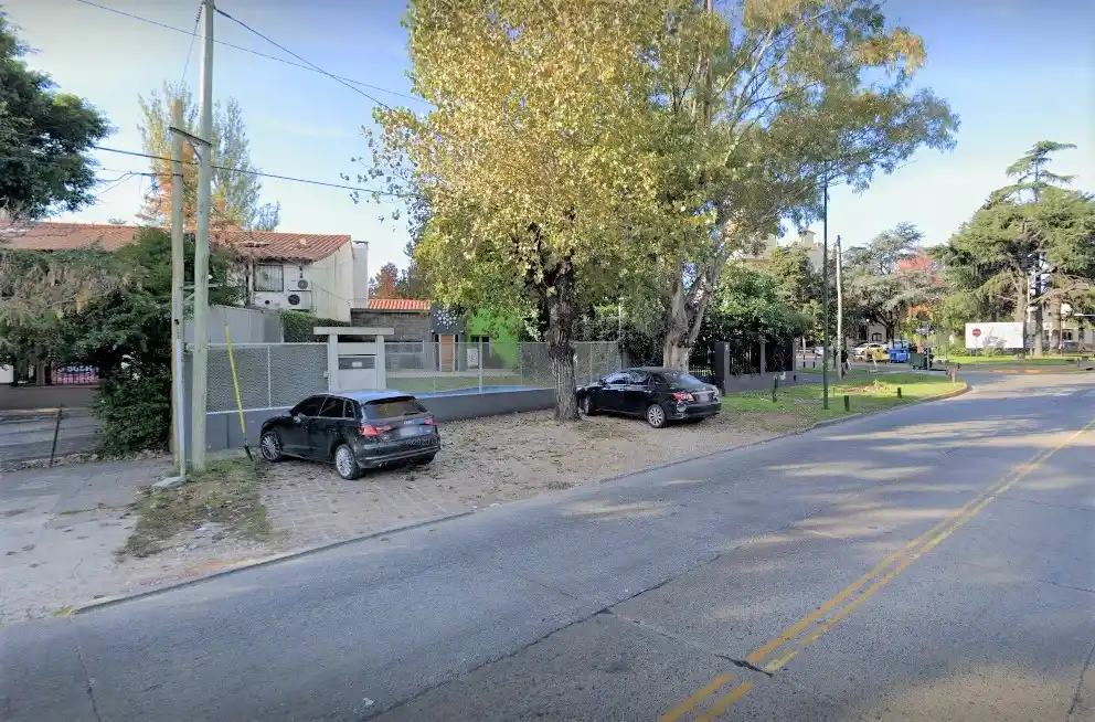 "Es un producto de madera, esa es la verdad", dijeron desde la empresa de San Isidro que busca venderle penes al Estado