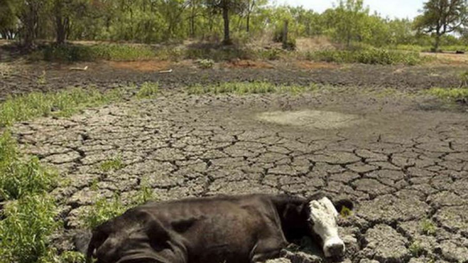 Salud y cambio climático: una relación de doble impacto