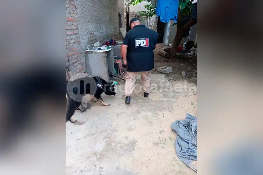 Múltiples allanamientos con la participación del can “Rove”: seis personas detenidas