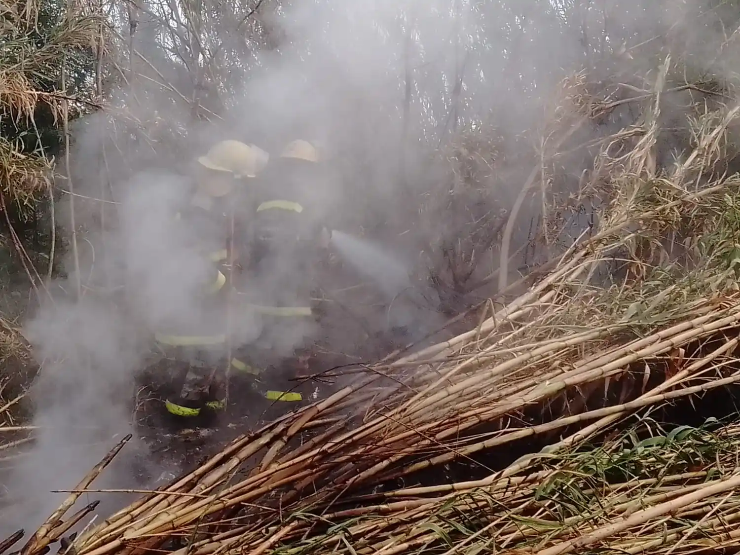 Dos incendios en el transcurso de la mañana