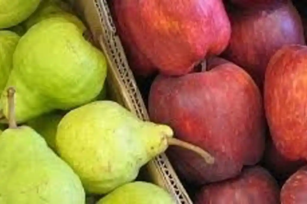 fruta