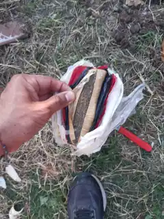 Gualeguay: Secuestraron Marihuana