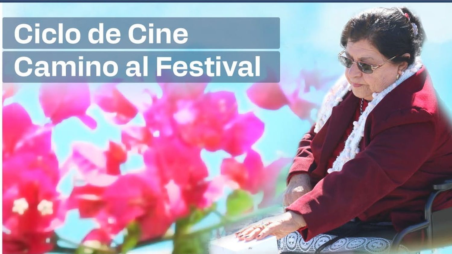 Ciclo de cine gratuito Camino al Festival 2025: "Los sueños de Elma. Historia de una Madre de Malvinas"
