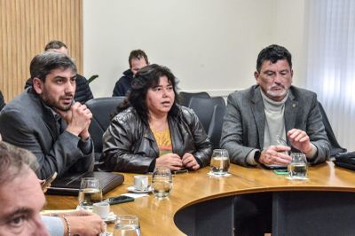 Avanza en el Senado el proyecto de sostenibilidad de la deuda pública entrerriana