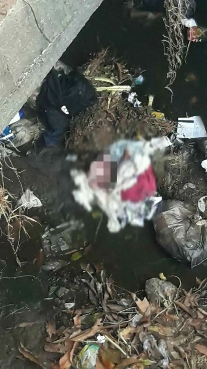 PROFUNDO DOLOR: hallan el feto de un bebé tirado en un puente