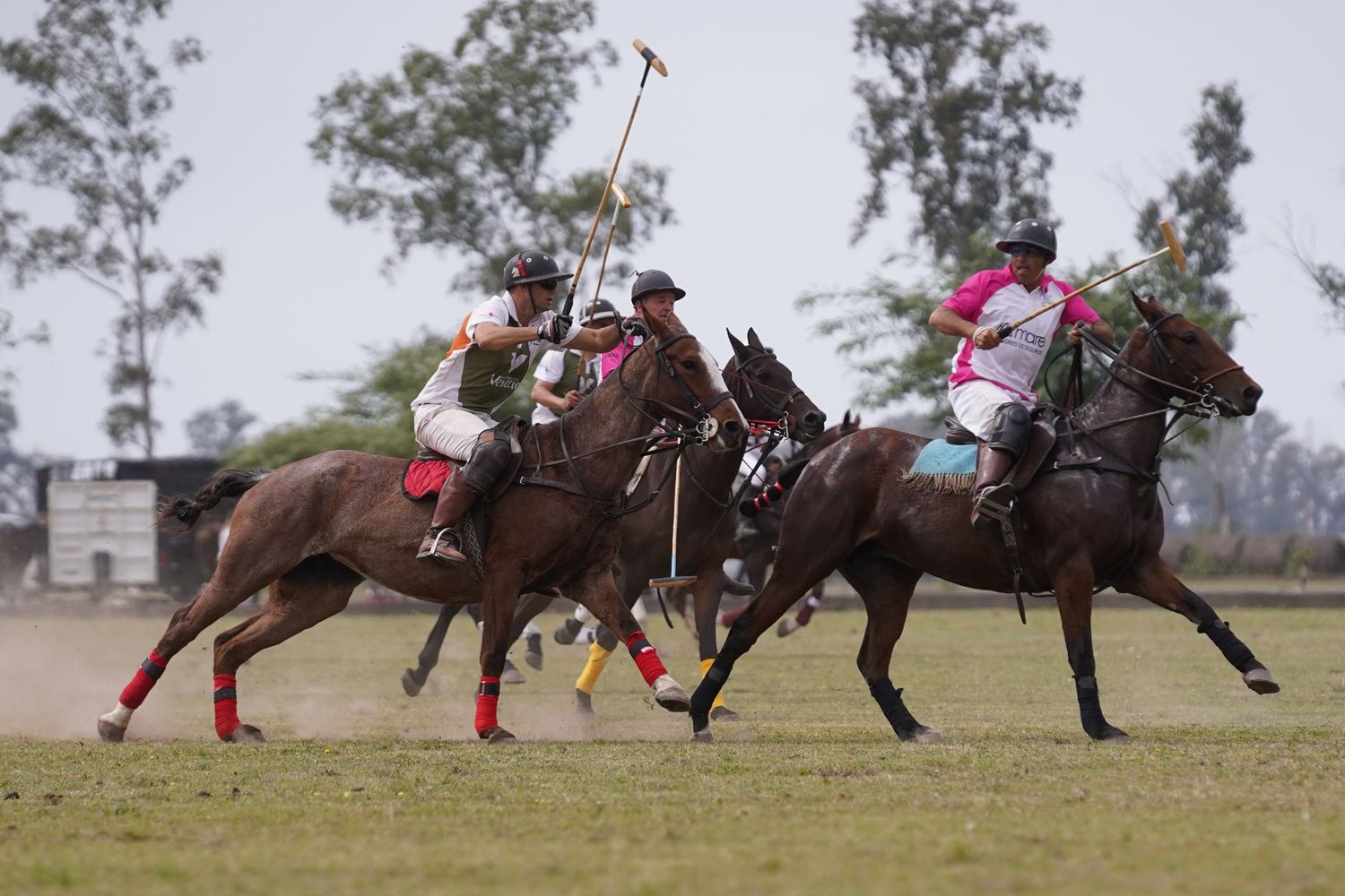 Los partidos se disputarán durante todo el fin de semana en las canchas del Jockey Club.