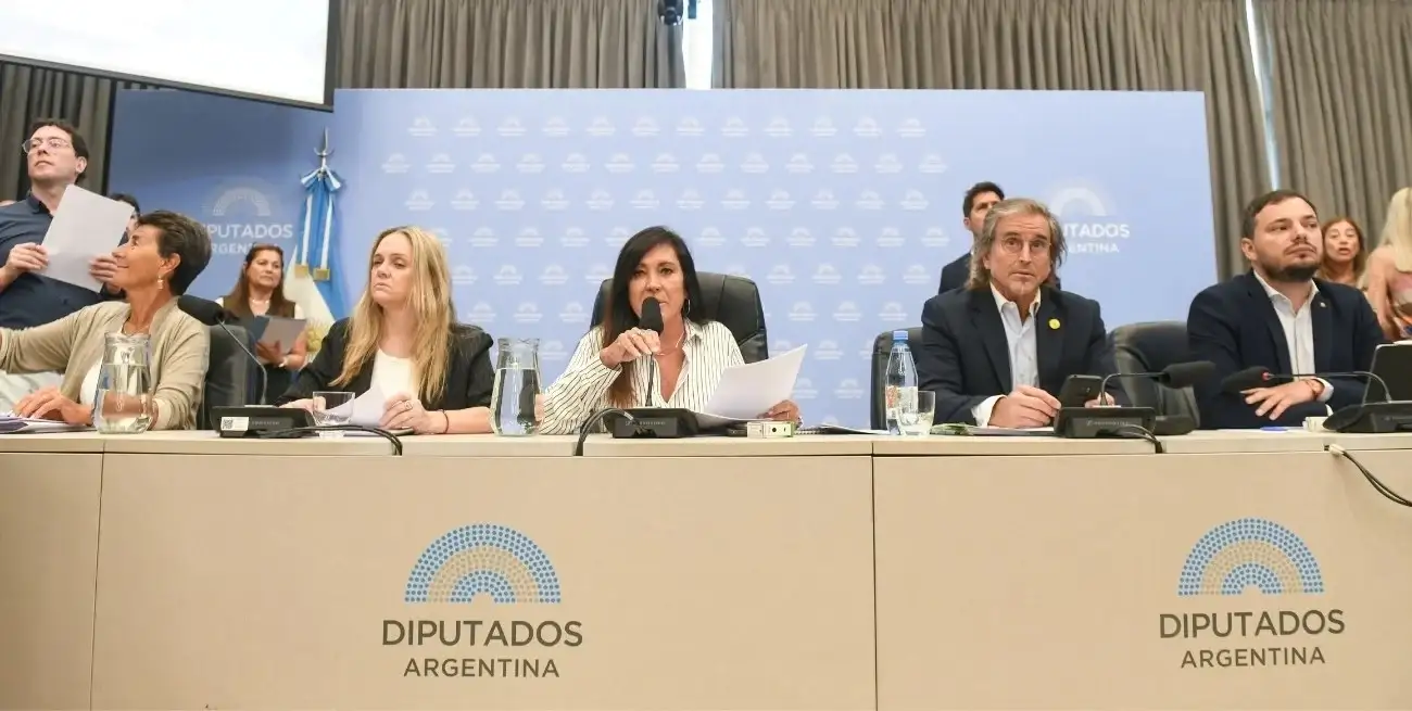 La Libertad Avanza logró dictamen para bajar la edad de imputabilidad y para el acuerdo Mercosur-UE que serán tratados este jueves. Foto: HCDN.