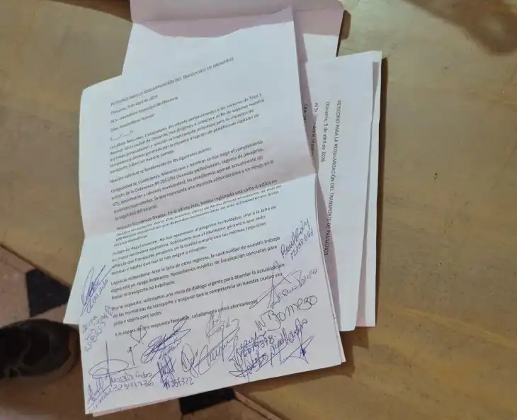 Enviarán una ordenanza al Concejo Deliberante. (Foto: Verte.TV)