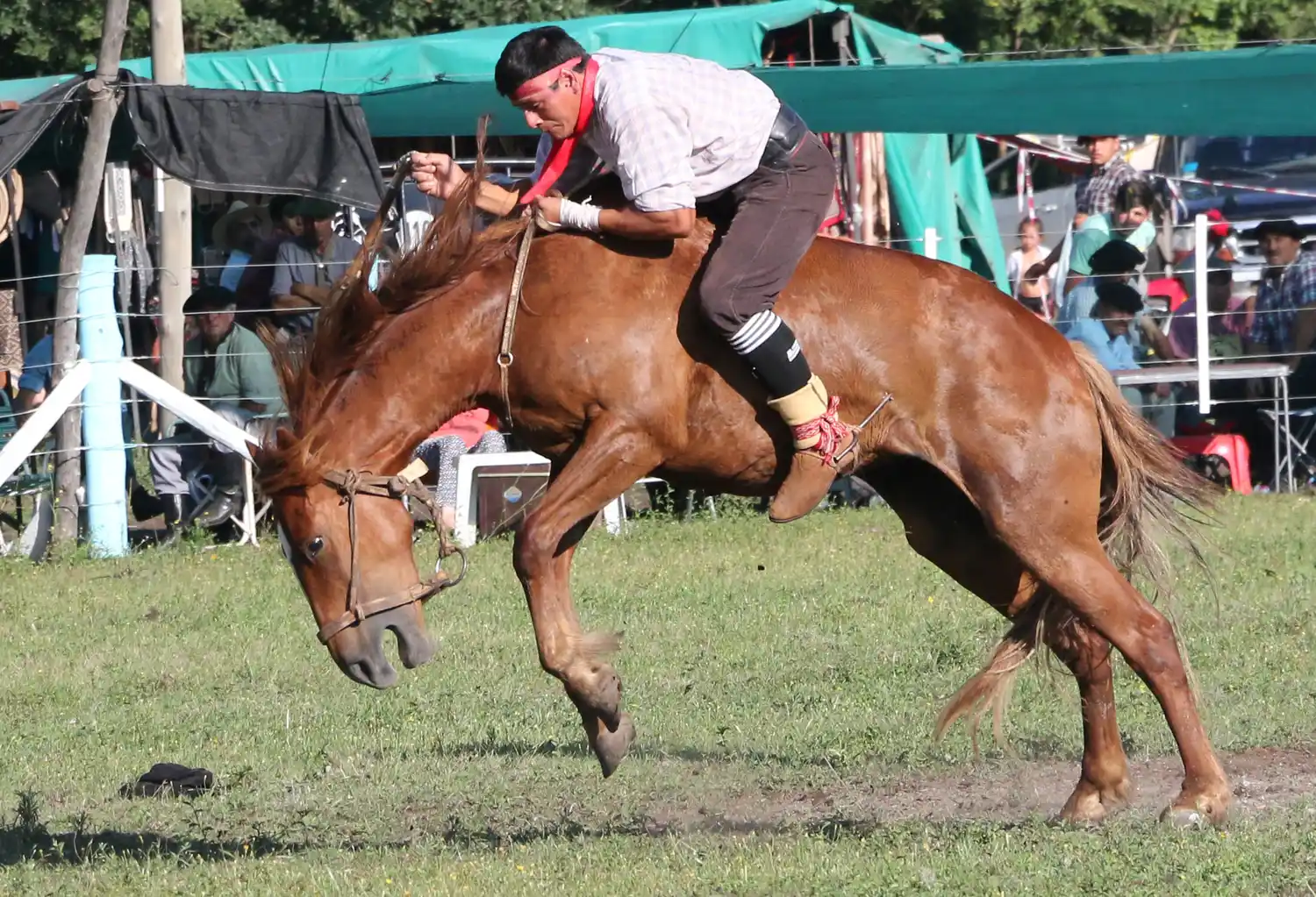 Hoy comienza La Morrocotuda de La Pastora